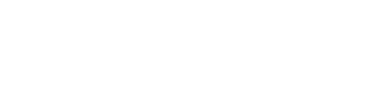 Webfix